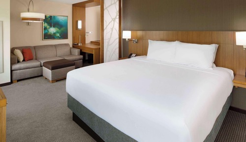 Room, 1 King Bed with Sofa bed (King)