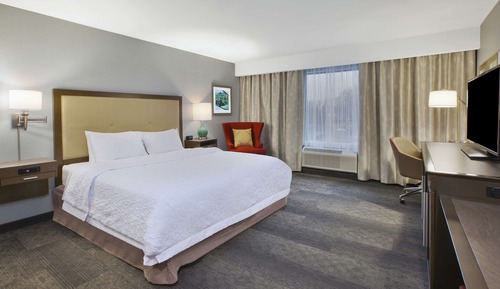 Room, 1 King Bed, Accessible, Non Smoking (Roll In Shower)