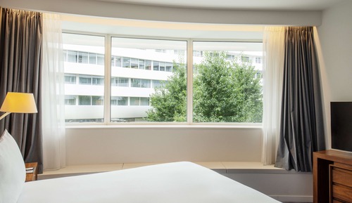 King, Suite, 1 Bedroom