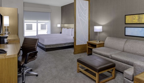Room, 1 King Bed with Sofa bed, Accessible (with Shower)