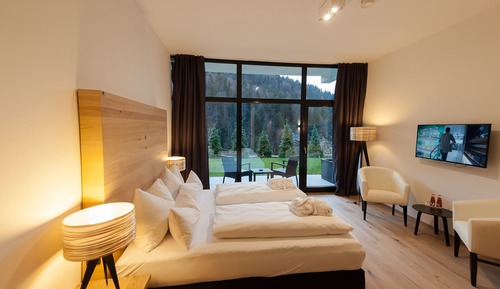Comfort Double Room, Patio