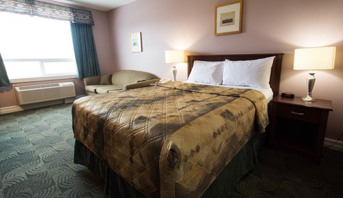 Room, 1 Queen Bed with Sofa bed, Smoking (Pet Friendly)