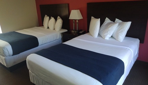 Basic Double Room