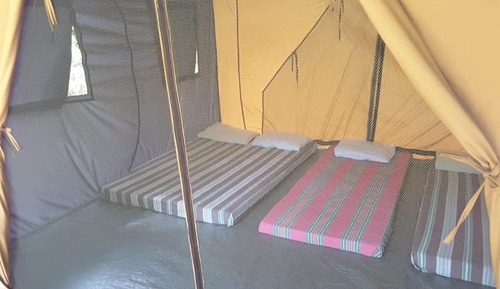 Basic Tent, 6 Bedrooms, River View