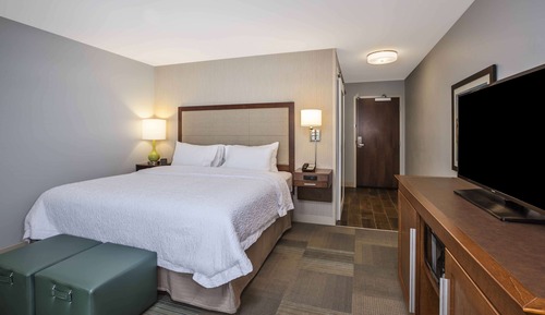 Room, 1 King Bed, Non Smoking, Refrigerator & Microwave