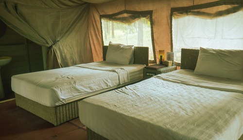 Luxury-Tent (Twin Bed)