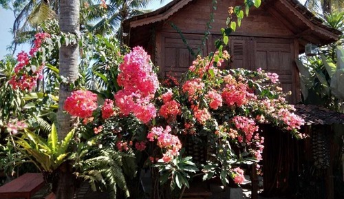 Kebo House
