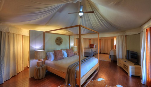 Family Safari Tent