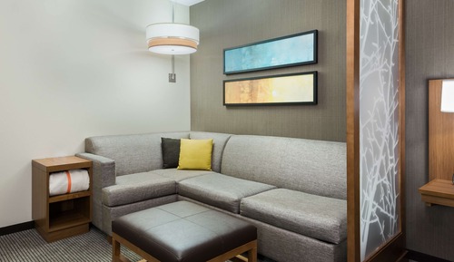 Room, 1 King Bed with Sofa bed (High Floor)