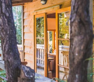 Cabin with Disability Access - Happiness