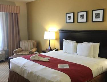 One-Bedroom King Suite with Sofa Bed - Non-Smoking