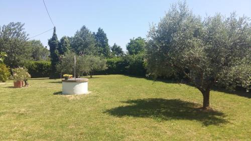 Studio with Garden View