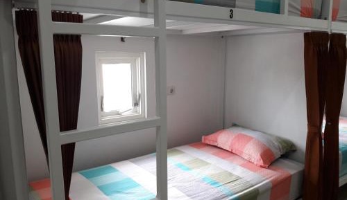 Bunk Bed in Mixed Dormitory Room