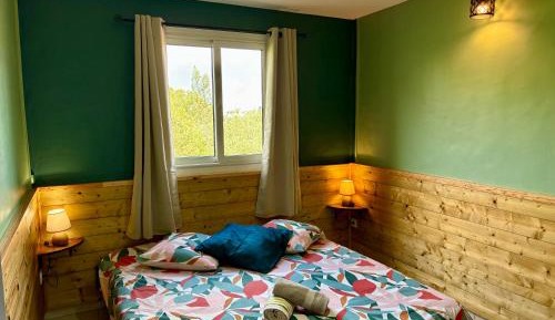 Double Room with Shared Bathroom