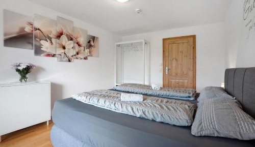 Superior One-Bedroom Apartment with Balcony