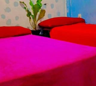 Mixed Dormitory Room