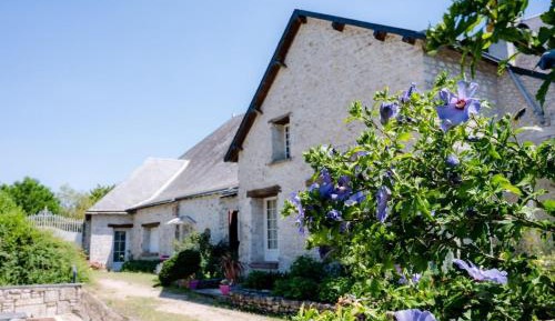 Two-Bedroom Superior Apartment