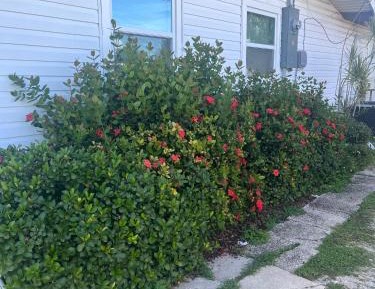 Deluxe Room (2 Adults + 1 Child)