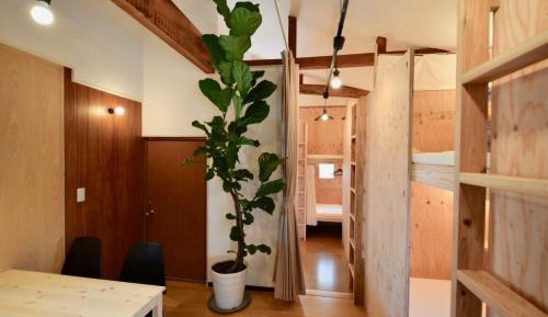 Bunk Bed in Mixed Dormitory Room