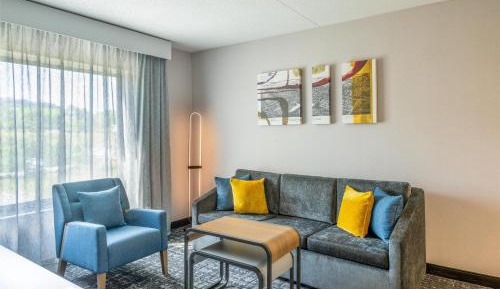 One-Bedroom King Suite