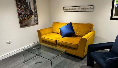 Deluxe One-Bedroom Apartment