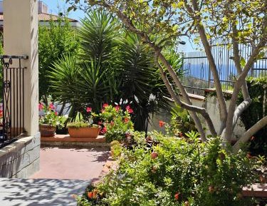 Superior Apartment with Balcony