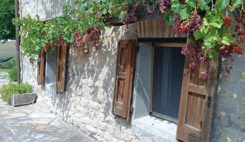 One-Bedroom Apartment (4 Adults)