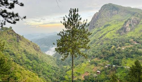 Double Room with Mountain View