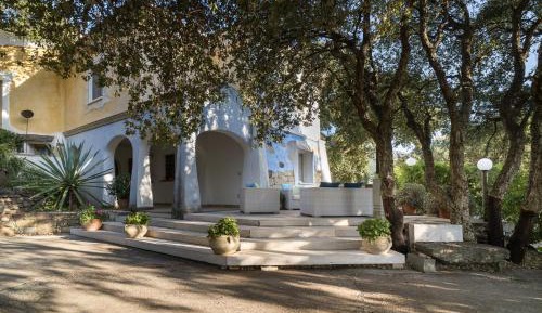 Two-Bedroom Superior Apartment