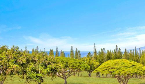 Four-Bedroom Apartment