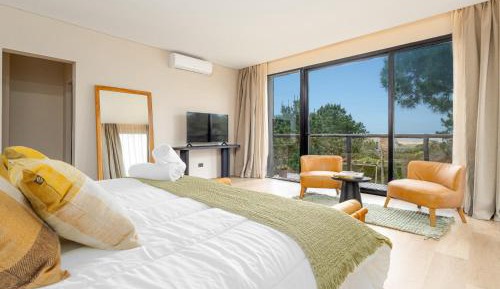 Deluxe Double or Twin Room with Ocean View