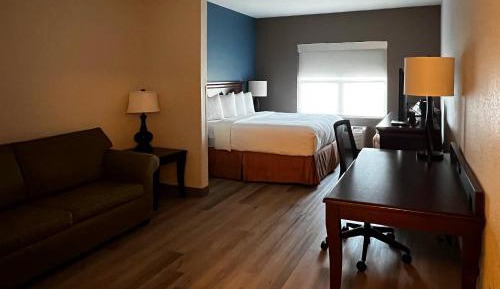 One-Bedroom King Suite with Sofa Bed - Non-Smoking