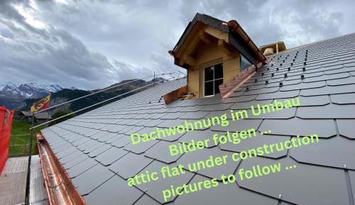 Apartment with Mountain View