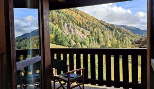 Superior One-Bedroom Apartment with Balcony