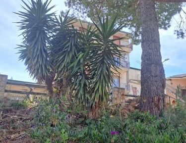 Four-Bedroom Apartment with Balcony 