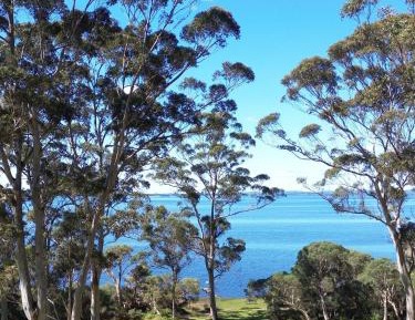 Deluxe Suite with Sea View