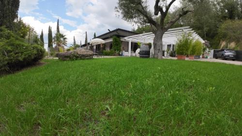 Family Room with Garden View