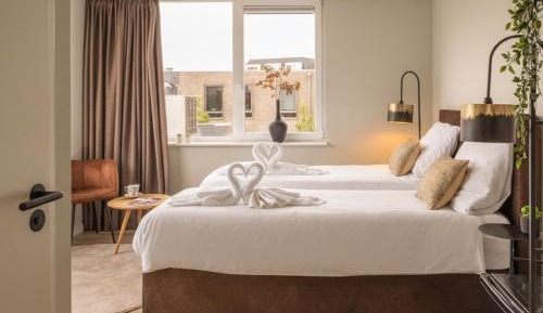 Standard Suite