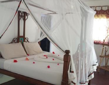 Standard Double Room with Fan