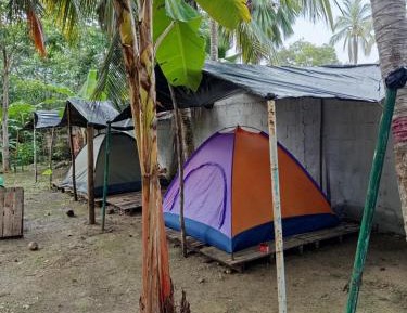 Tent