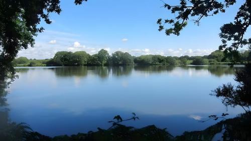 Superior One-Bedroom Apartment