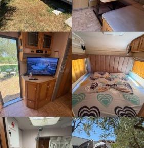 Mobile Home