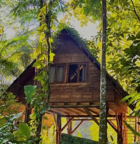 Family Bungalow