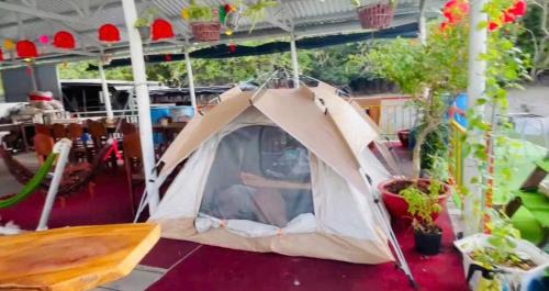 Tent