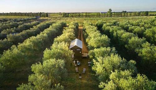 Mobile Home