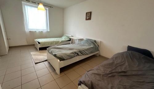 Basic Triple Room with Shared Bathroom