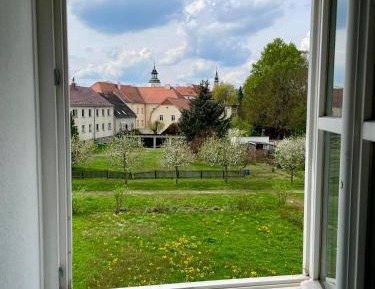 One-Bedroom Family Apartment
