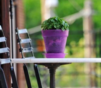 Standard Double or Twin Room with Balcony