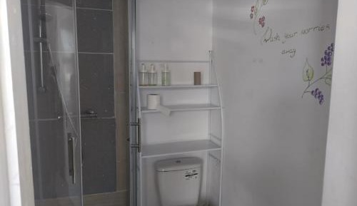 Deluxe Double or Twin Room with City View