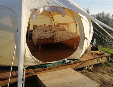 Tent